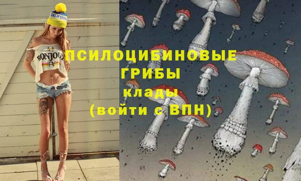эйфоретик Алексеевка