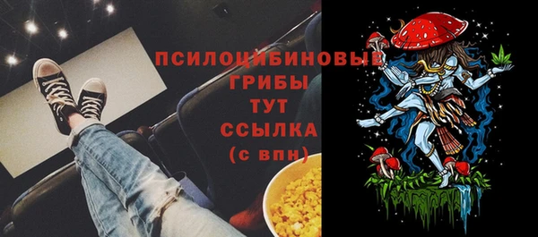 дурь Алексин