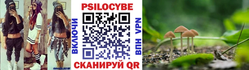 Псилоцибиновые грибы Cubensis  Слюдянка 